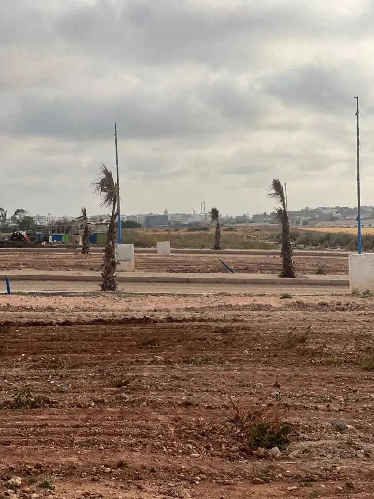 WhatsApp Image 2025 05 27 at 11.13.07 5